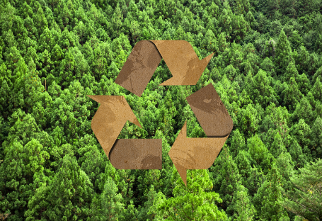 FSC & EUDR & PEFC Guide para sa Disposable Catering Supplies Procurement