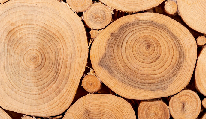 Juxian Yongrui Packaging Products Co., Ltd.